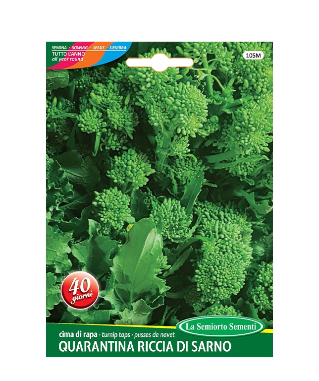 cima di rapa QUARANTINA RICCIA DI SARNO
