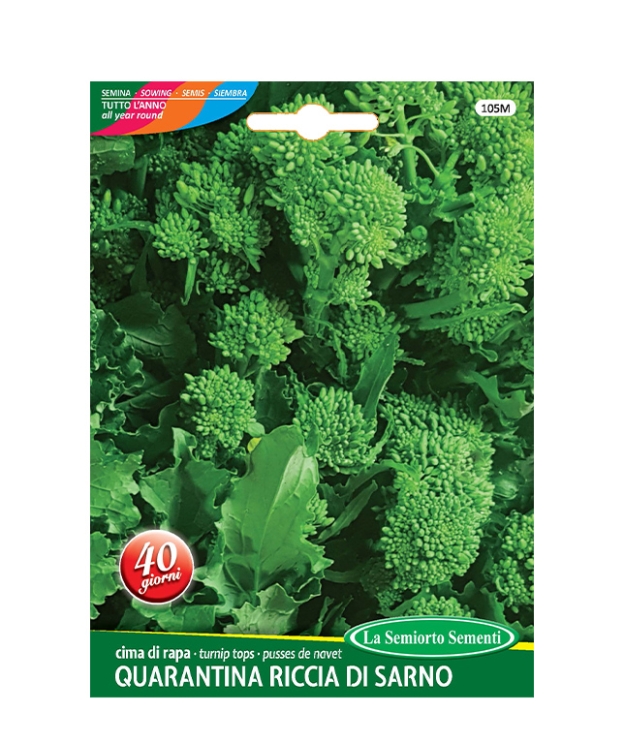 cima di rapa QUARANTINA RICCIA DI SARNO