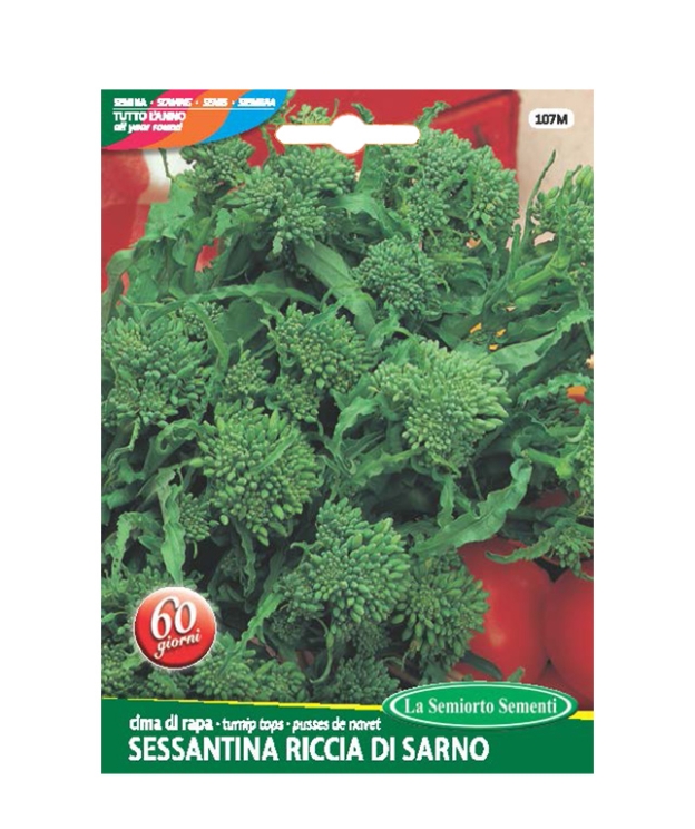 cima di rapa SESSANTINA RICCIA DI SARNO