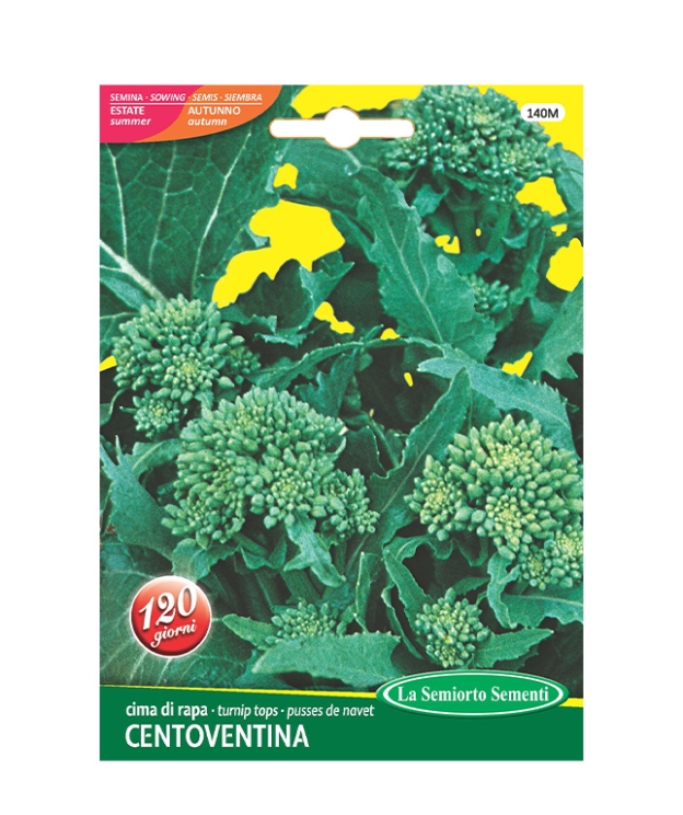 cima di rapa CENTOVENTINA