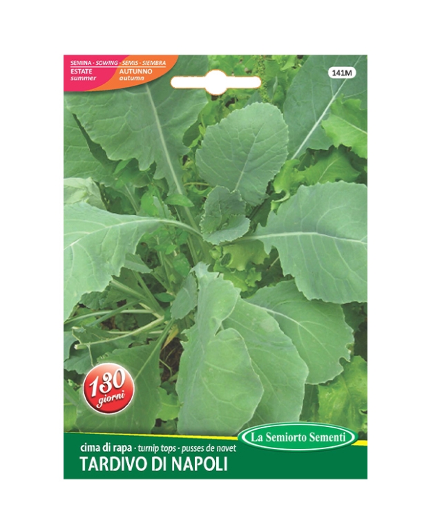 cima di rapa TARDIVA DI NAPOLI