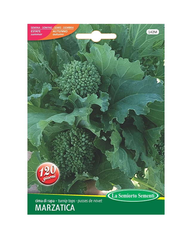 cima di rapa MARZATICA