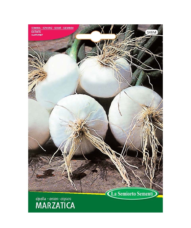 cipolla MARZATICA