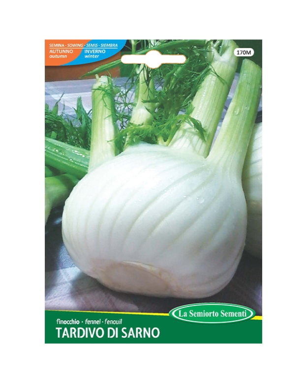 finocchio TARDIVO DI SARNO