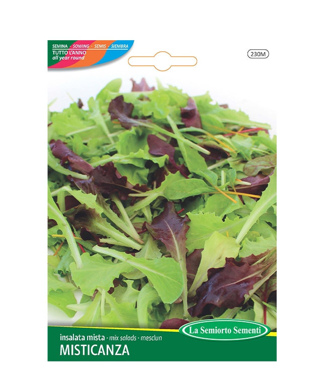 INSALATA MISTA MISTICANZA