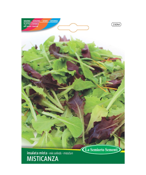 INSALATA MISTA MISTICANZA