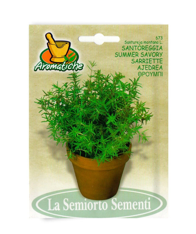 SANTOREGGIA
