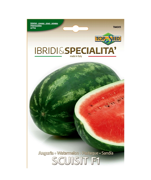 Anguria SCUISIT F1