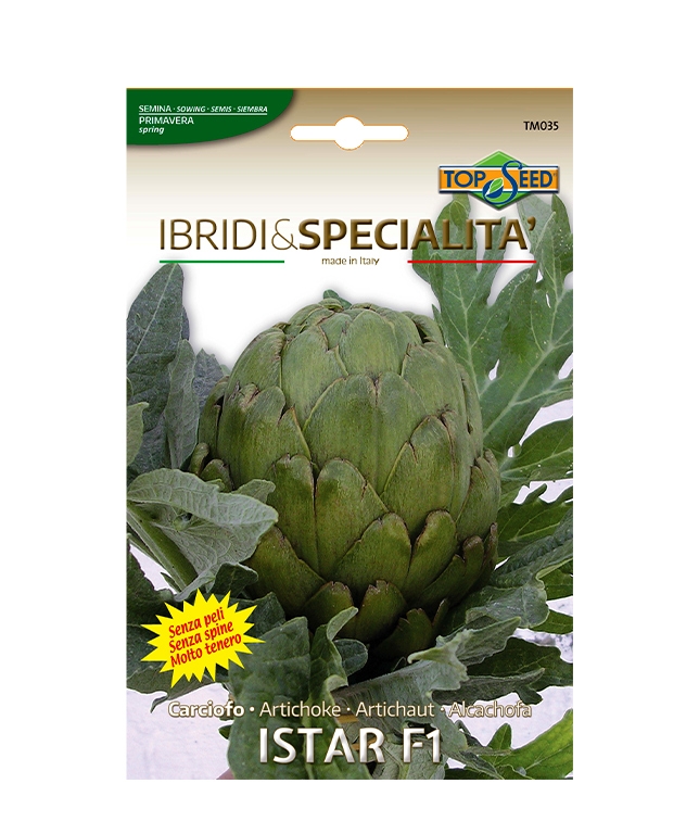 Carciofo ISTAR F1