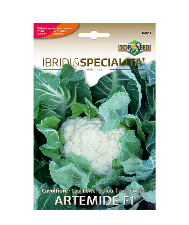 Cavolfiore ARTEMIDE F1