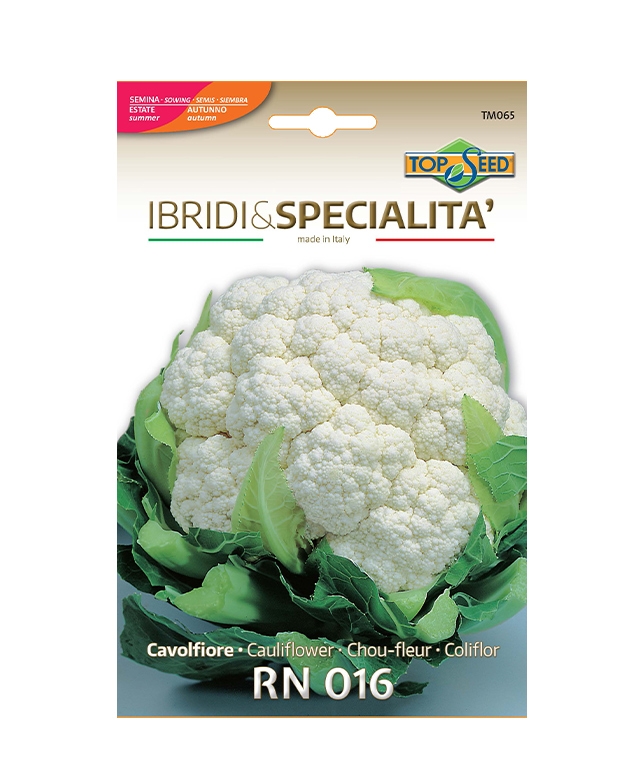 Cavolfiore RN 016