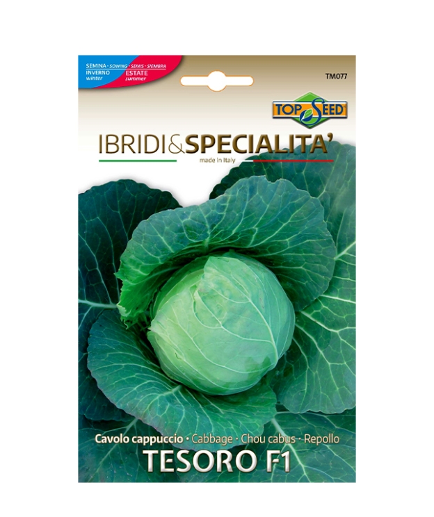 Cavolo cappuccio TESORO F1