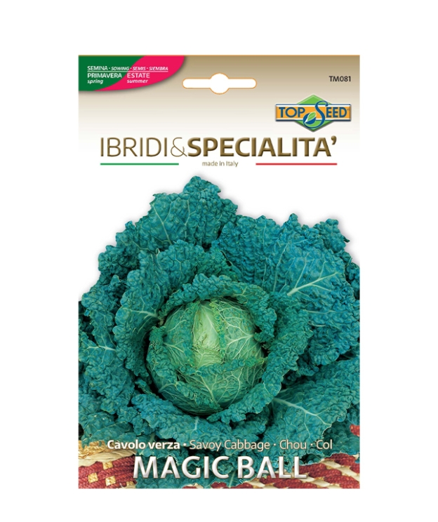 Cavolo verza MAGIC BALL