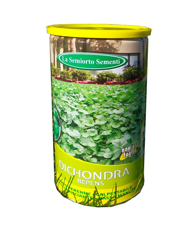 Dichondra • 100 g.