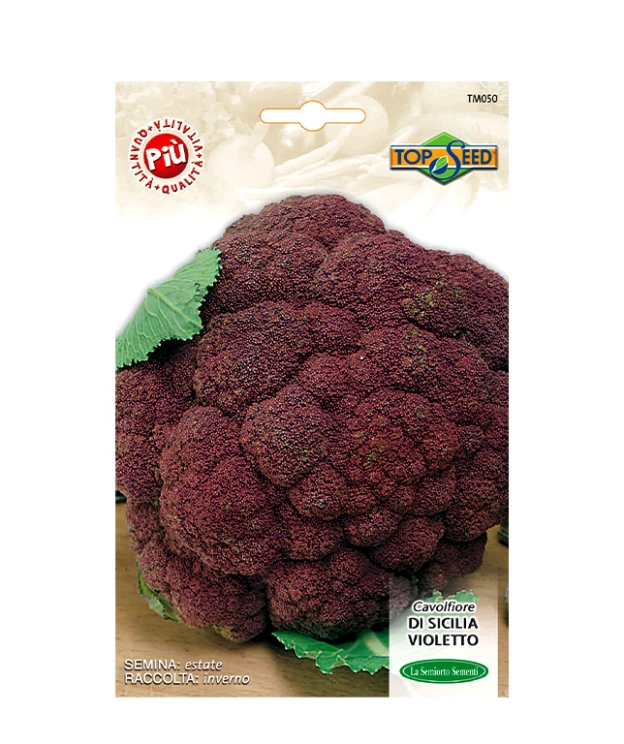 CAVOLFIORE DI SICILIA VIOLETTO