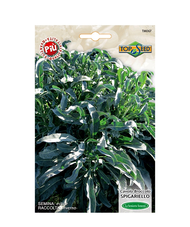 CAVOLO BROCCOLO SPIGARIELLO