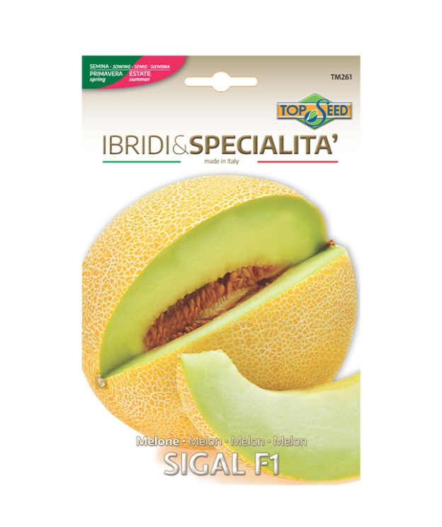 Melone SIGAL F1