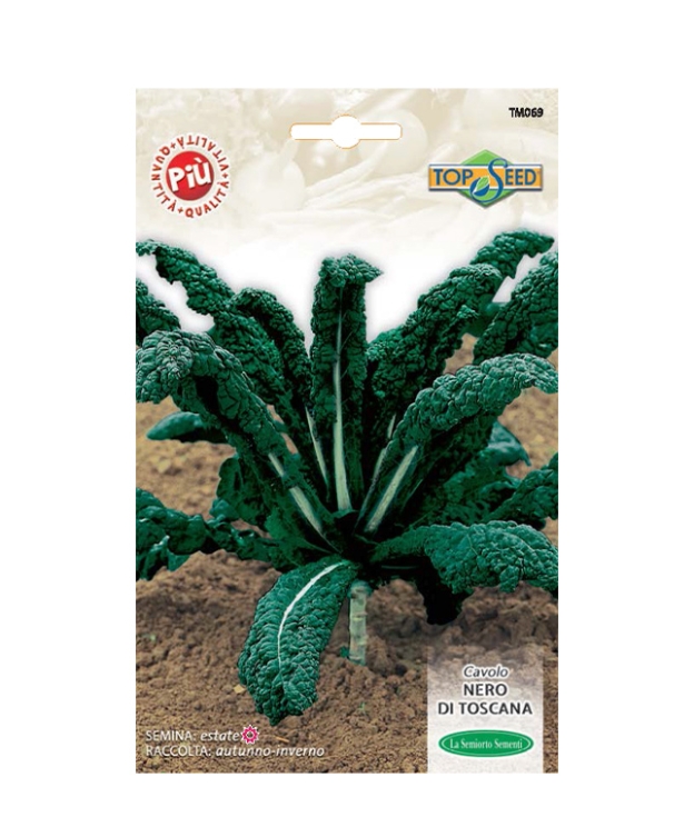 CAVOLO NERO DI TOSCANA
