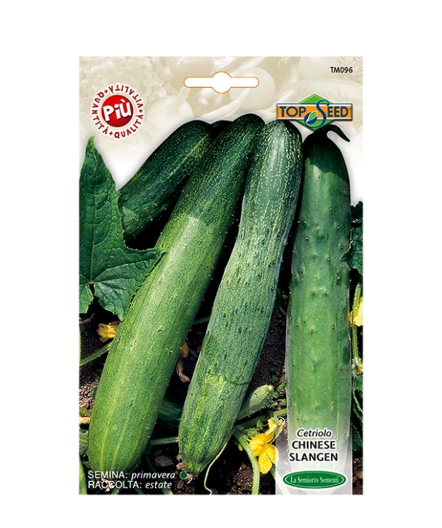 CETRIOLO CHINESE SLANGEN