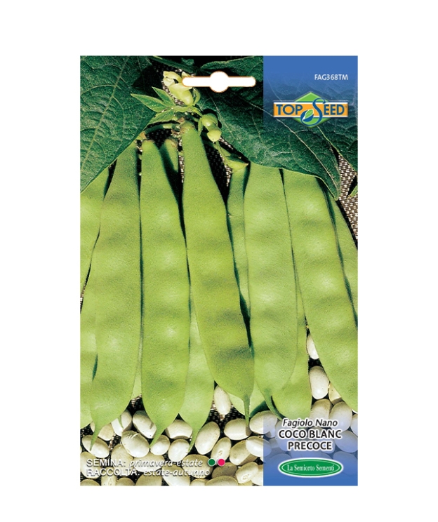 Fagiolo nano COCO BLANC PRECOCE
