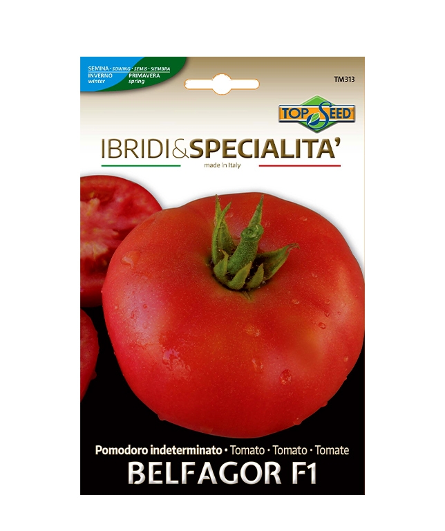Pomodoro indeterminato BELFAGOR F1