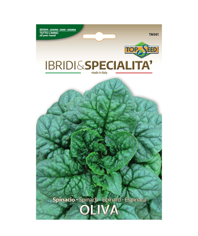 Spinacio OLIVA