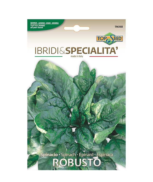 Spinacio ROBUSTO